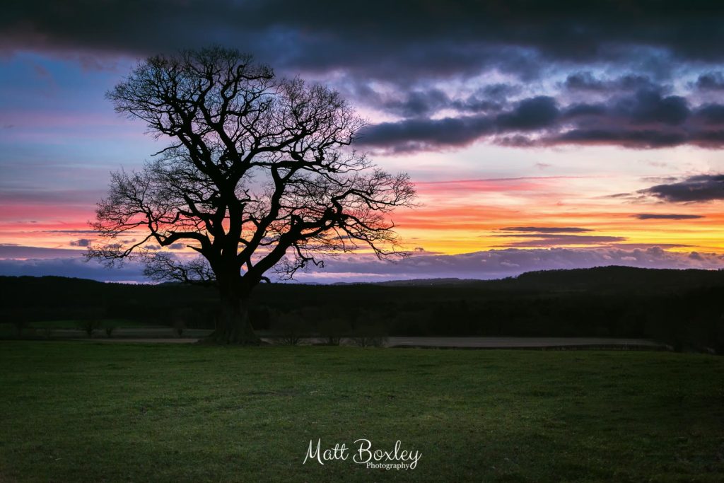 Sunset at Highgate Common 