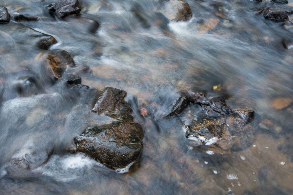 Wepre Brook in Wepre Park