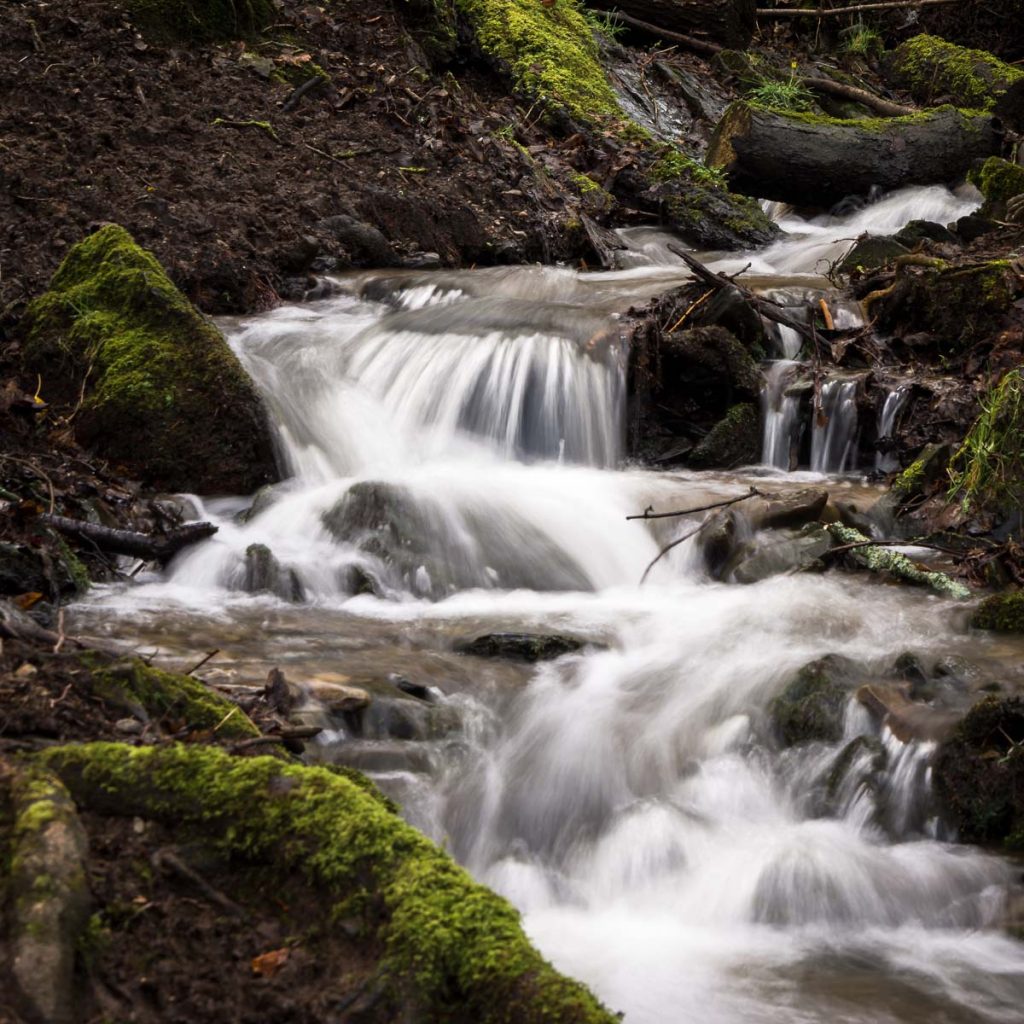 Waterfalls Gallery