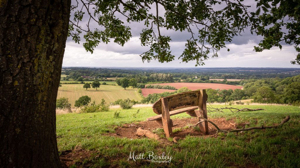 A Bench With A View