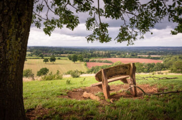 Enville Sheepwalks