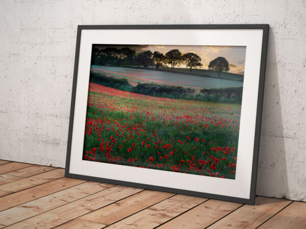 Poppy Field Mockup