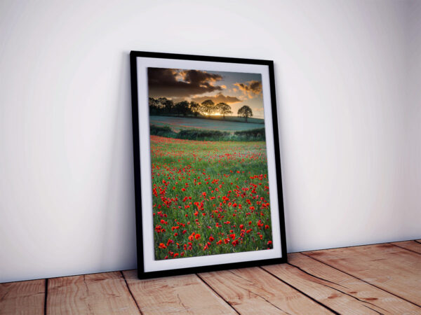 Poppy Field Mockup