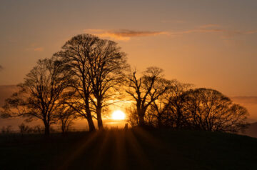 Sunset Silhouette