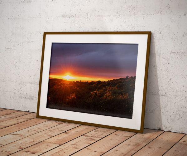 Buy Moel-Y-Parc Limited Edition Print