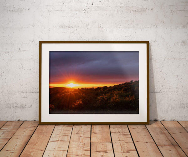 Buy Moel-Y-Parc Limited Edition Print