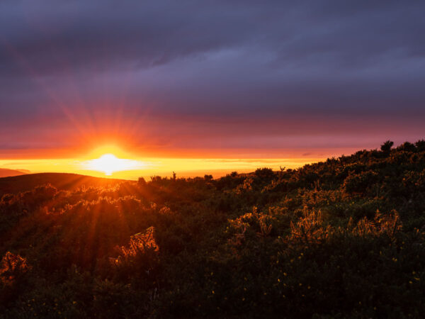 Moel-Y-Parc Sunset - Limited Edition