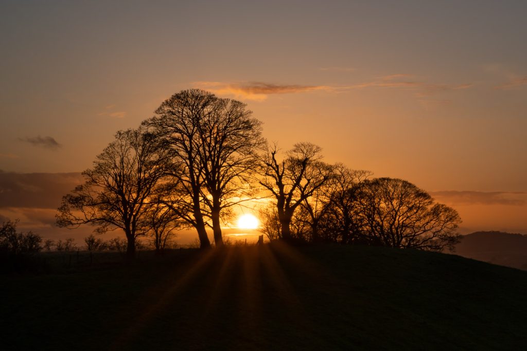 Sunset Silhouette