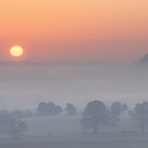 Enville in the mist