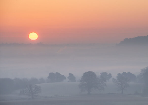 Enville in the mist