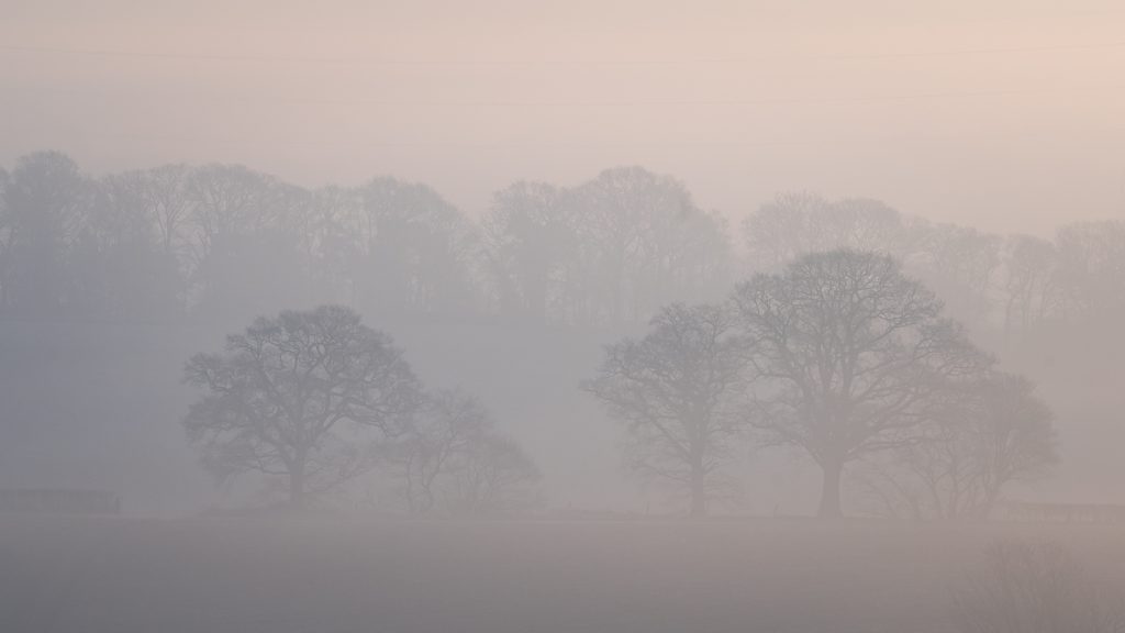 Landscape photography in mist and fog