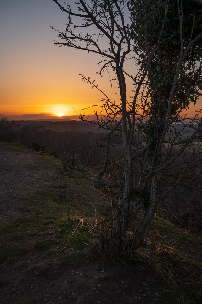 Kinver Edge Sunset