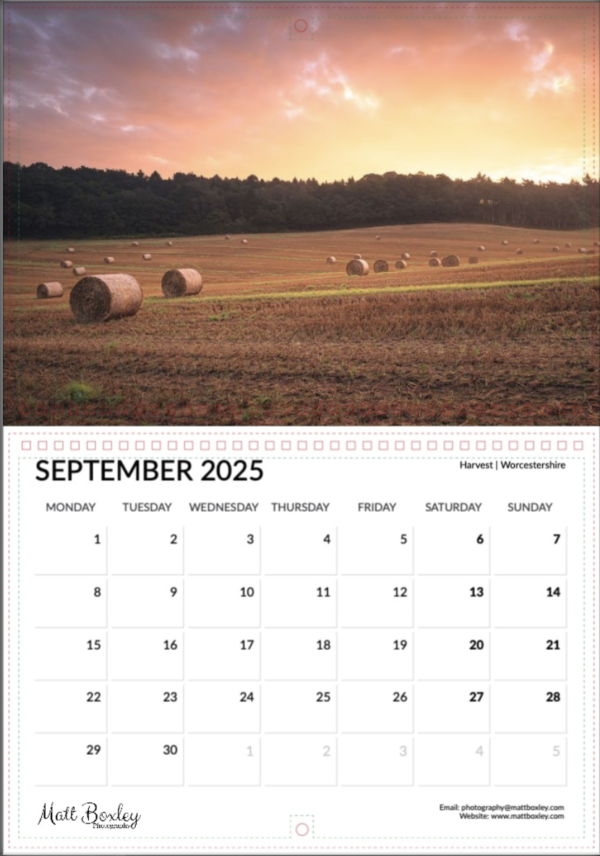 2025 Calendar - Image 10