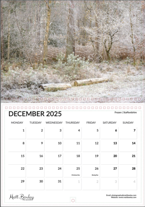 2025 Calendar - Image 13